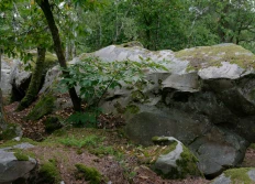 Rêves de cailloux